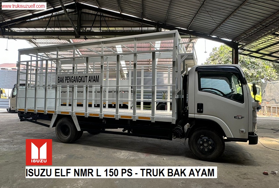 TRUK ANGKUTAN AYAM ISUZU NMR L EURO 4