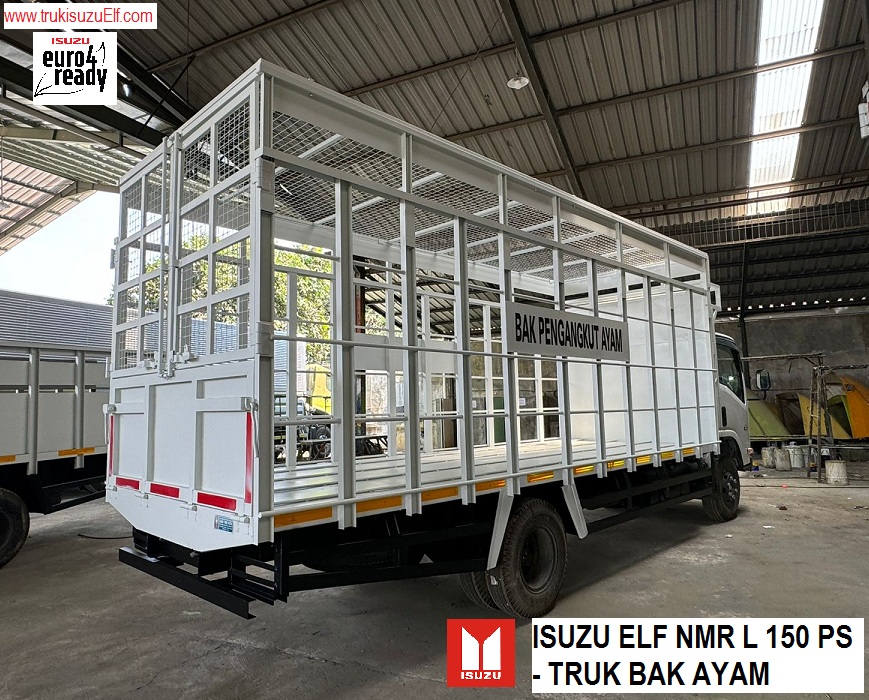 TRUK BAK AYAM ISUZU NMR L - BELAKANG TRUK BAK AYAM ISUZU NMR L - BELAKANG