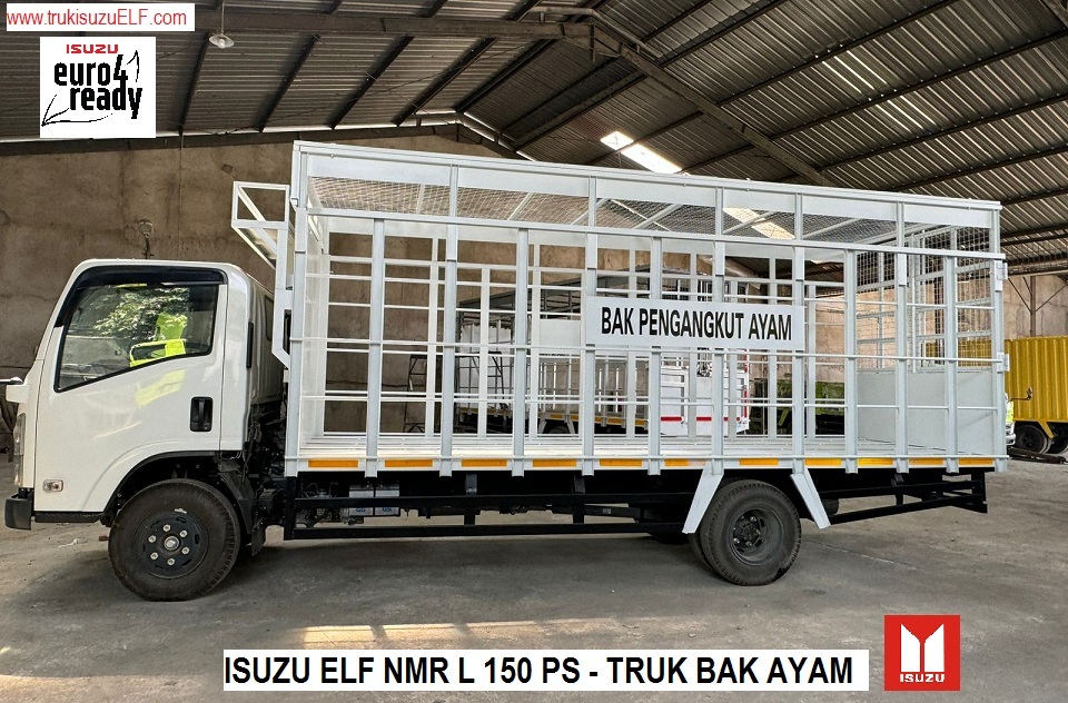 TRUK BAK AYAM ISUZU NMR L 150 PS TRUK BAK AYAM ISUZU NMR L 150 PS